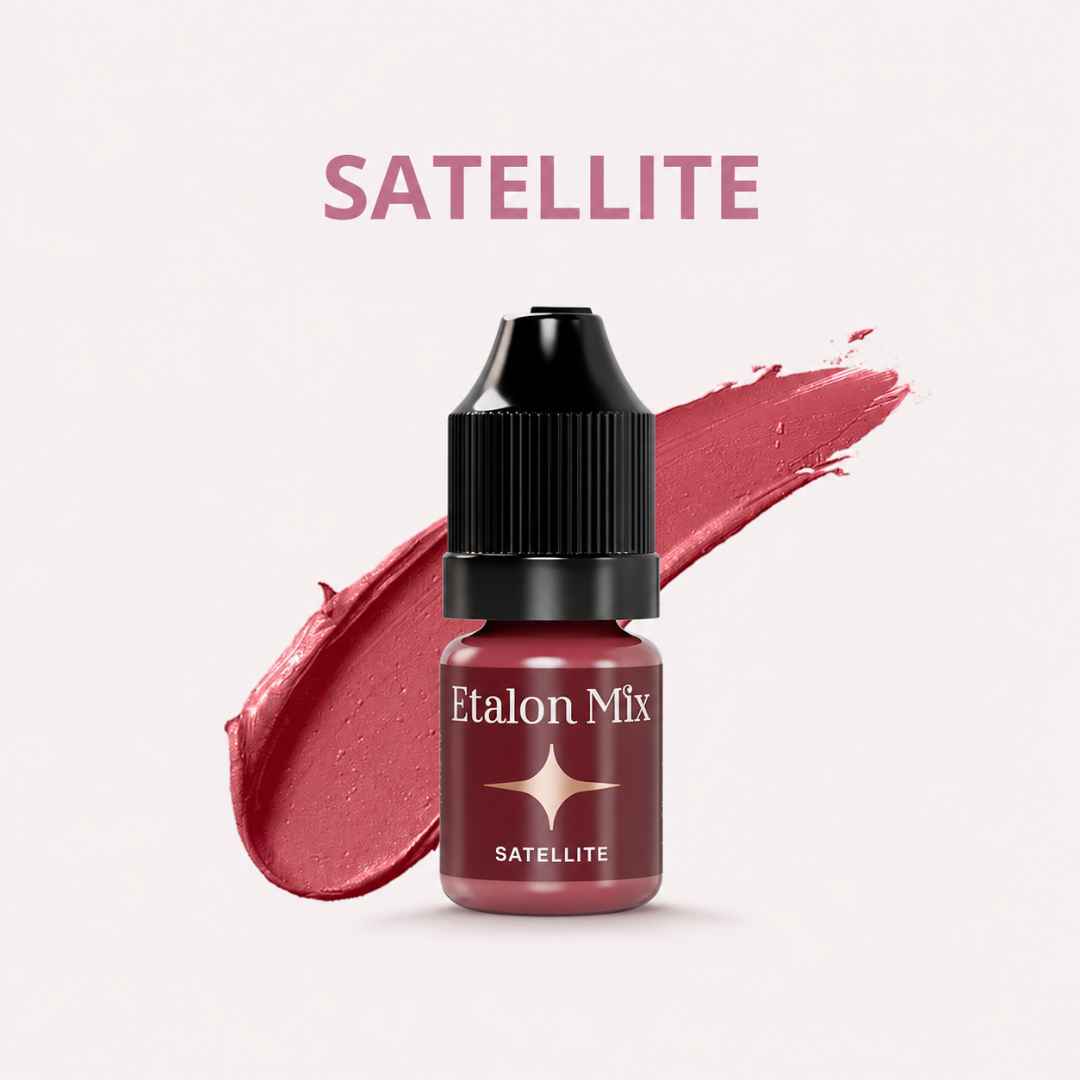Etalon Mix Favor Lip Set – dettaglio palette nude, rosa, berry, viola e marroni per labbra PMU